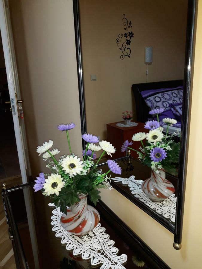 Sebes Apartman Apartment Debrecen Bagian luar foto